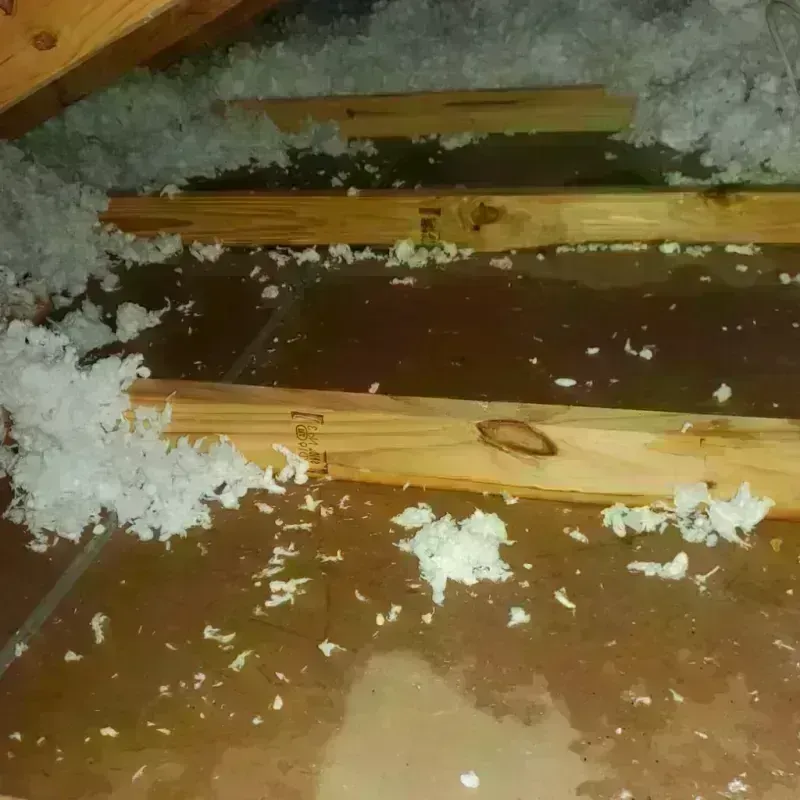 Attic Water Damage in East Windsor, CT